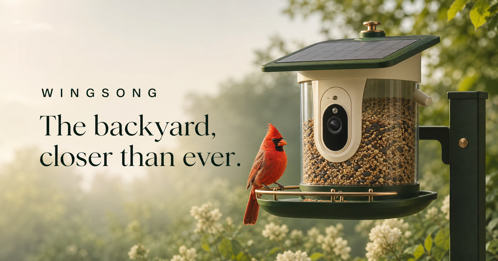 Wingsong smart bird feeder camera with a cardinal